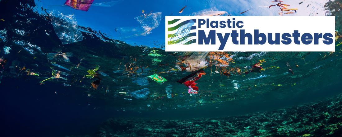 Slider plastic mythbusters quiz