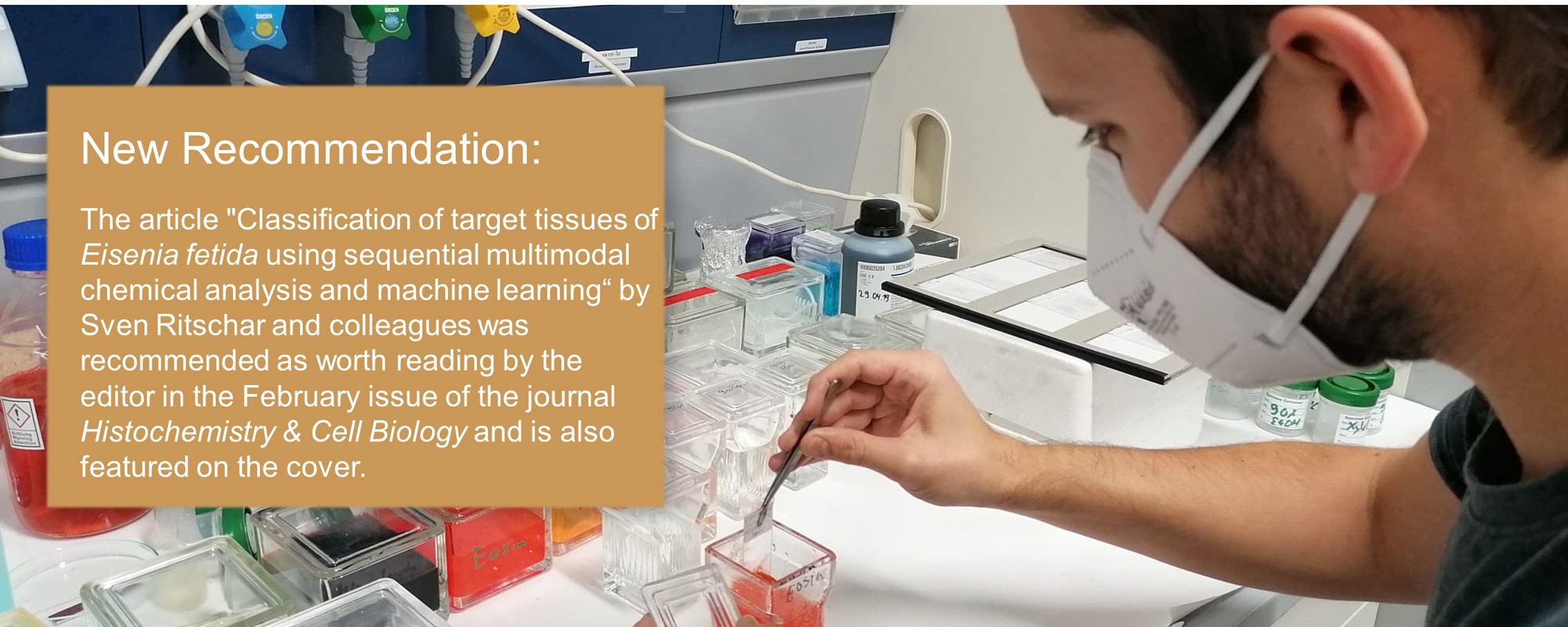 slider highlight histochemistry