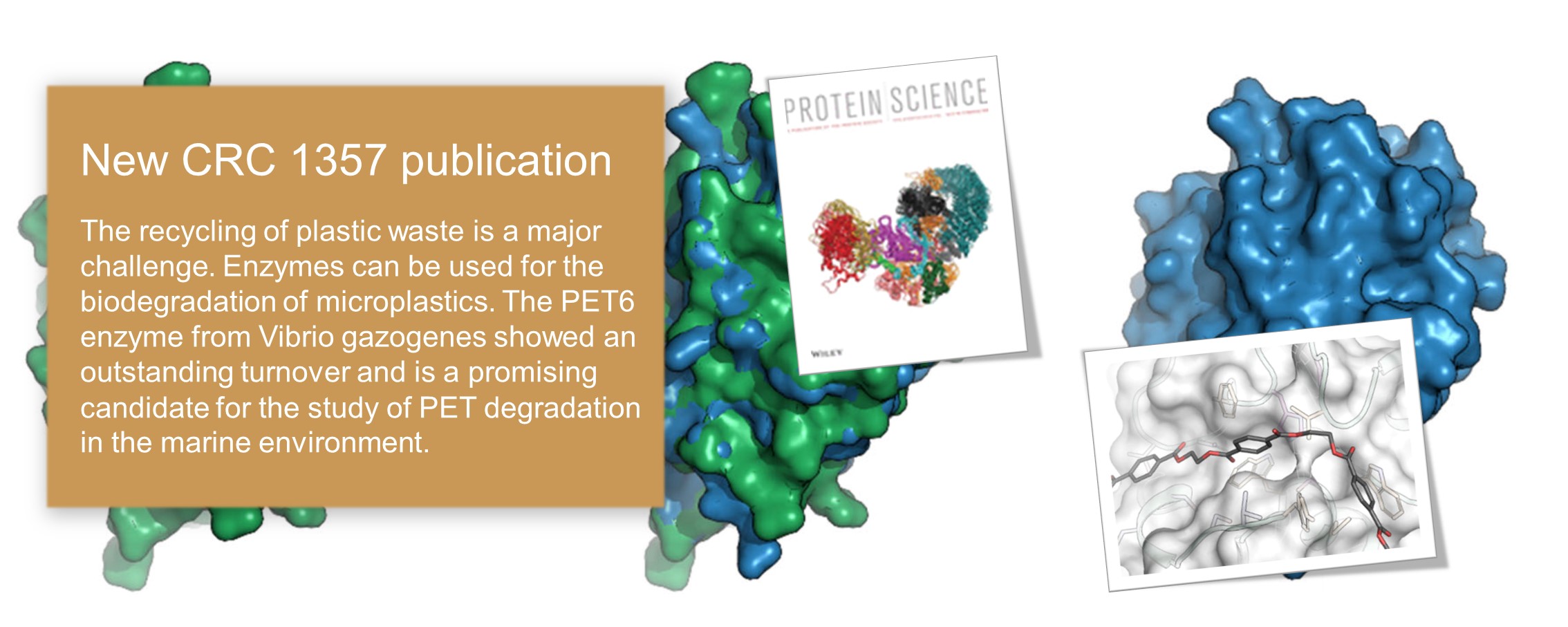 slider weigert protein science