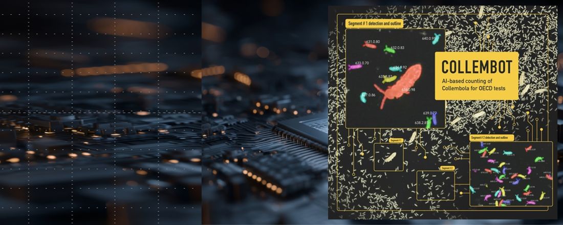 Slider Publication S01