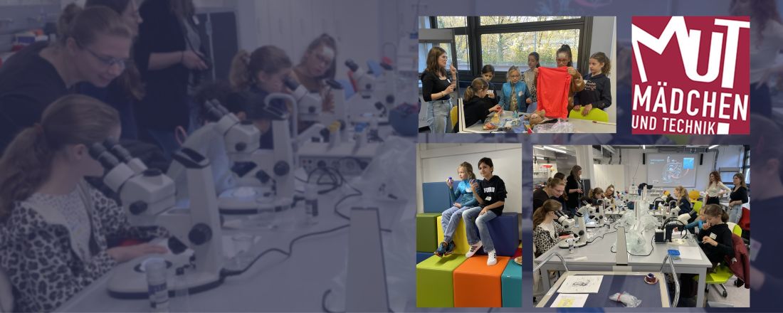 Slider Girls and Technology 2025