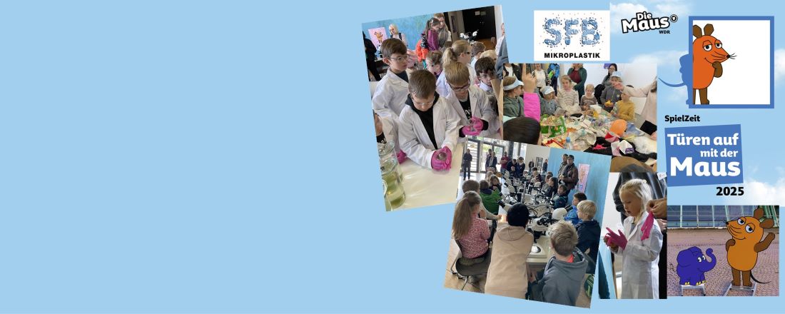 Slider Mouse Door Opener Day 2025