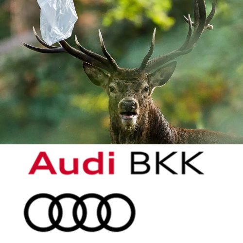 Title AUDI BKK customer magazine
