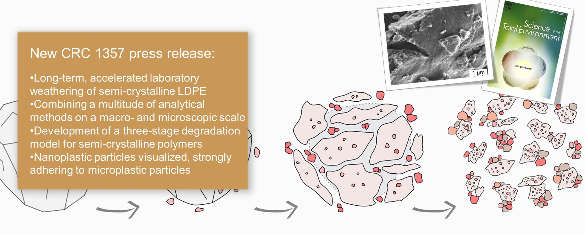 New CRC 1357 press release: Nanoplastic particles love company