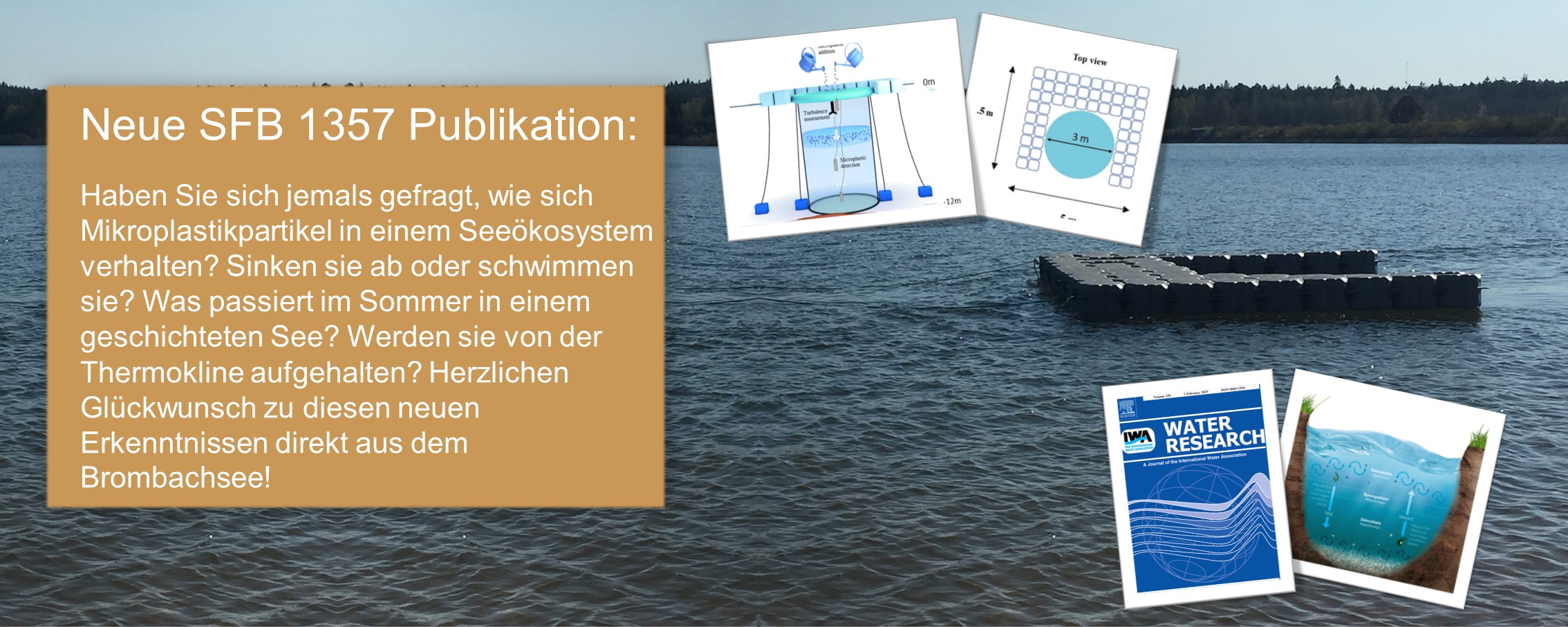 news puplication elegami
