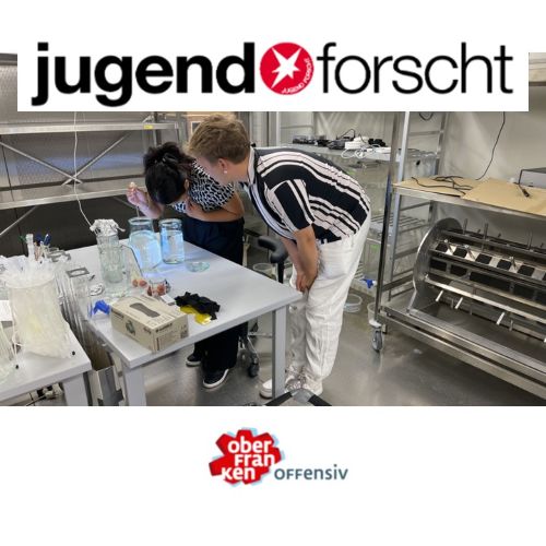 Logo of Young Scientist Local Competition