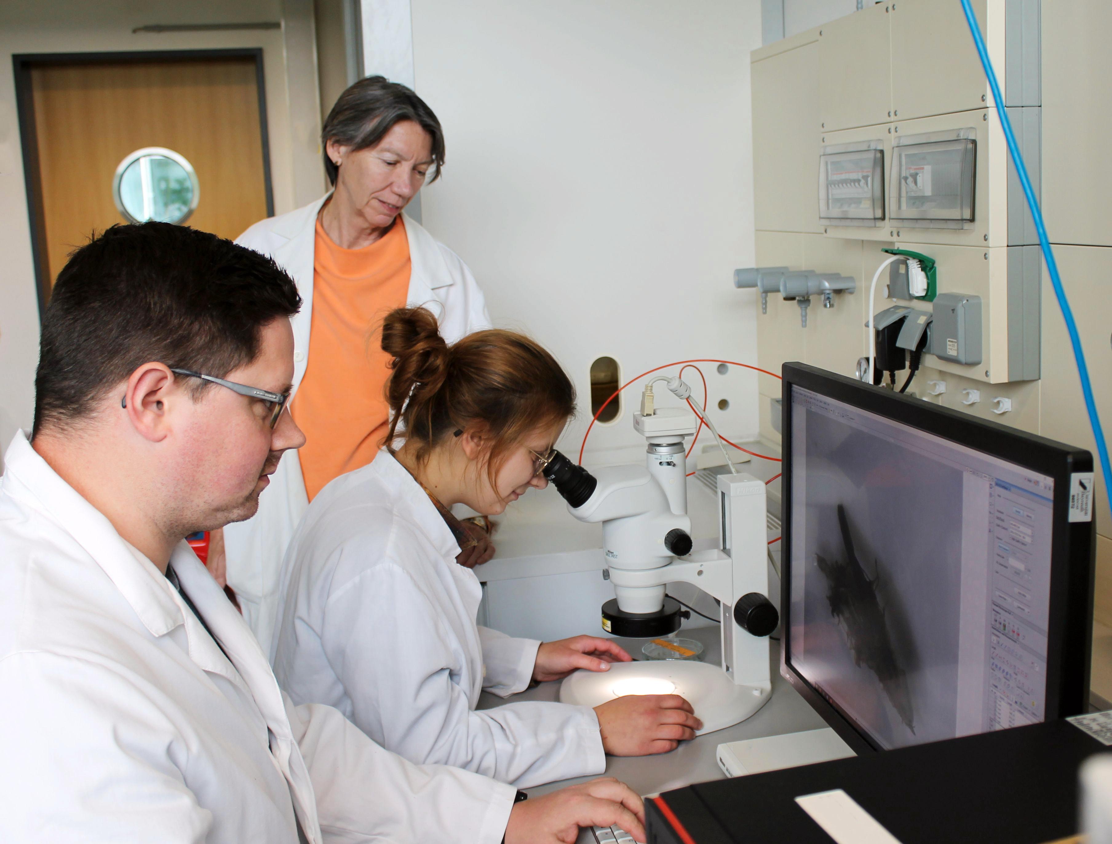 Thomas Steiner M.Sc., Prof. Dr. Ruth Freitag und Riccarda Hieke B.Sc. (v.l.) bei der mikroskopischen Untersuchung eines Partikels aus bioabbaubarem Plastik.